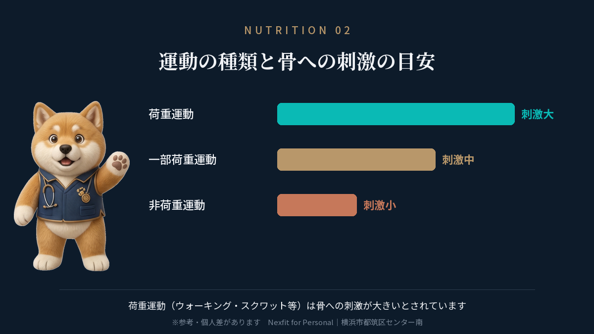 運動の種類別に見た骨への刺激の目安を比較した図解(荷重運動・一部荷重運動・非荷重運動)