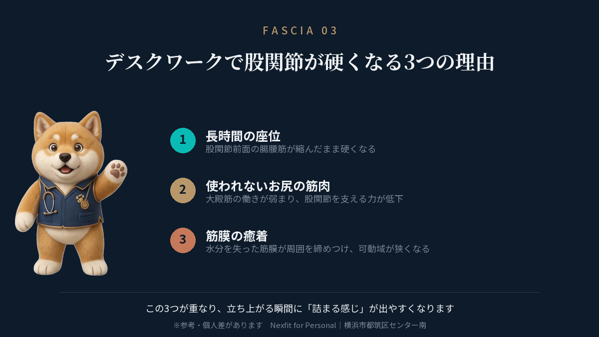 デスクワークで股関節が硬くなる3つの理由の図解