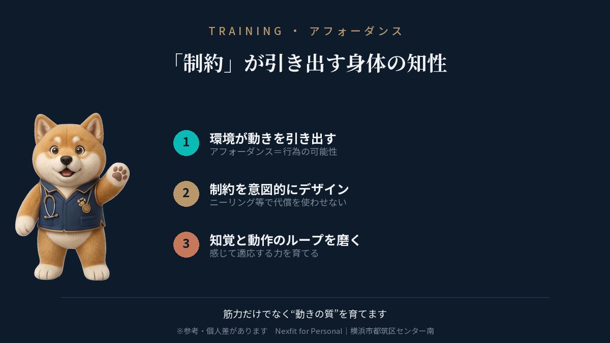 「制約」が引き出す身体の知性(アフォーダンスの考え方)