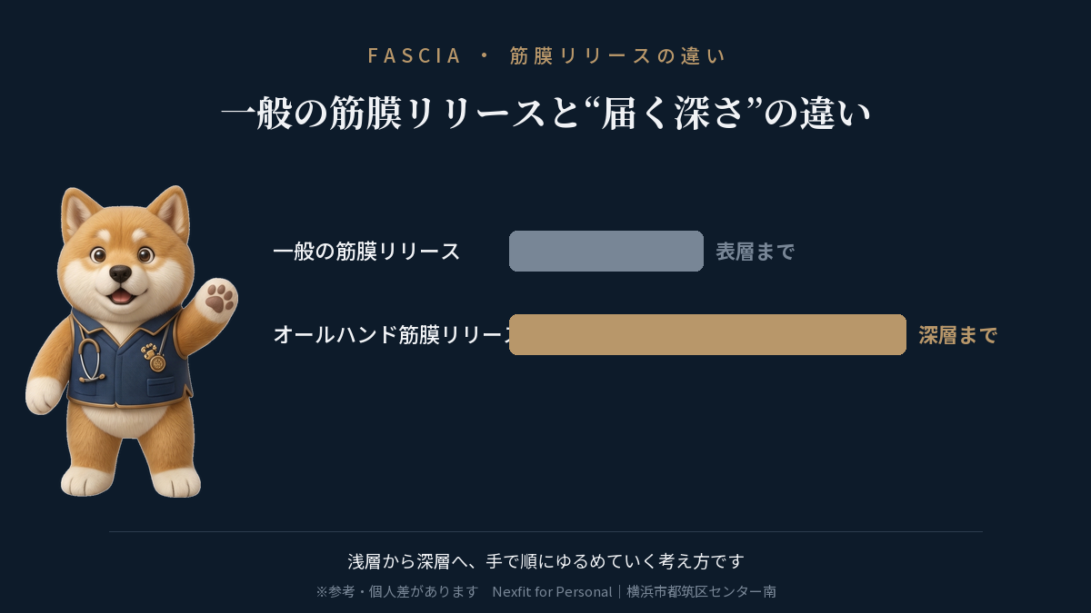 一般の筋膜リリースとオールハンド筋膜リリースで届く深さの違いを示す比較図（表層まで／深層まで）