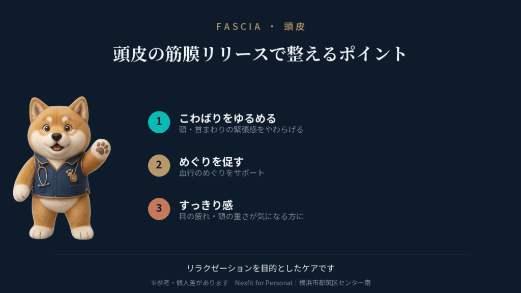 頭皮の筋膜リリースで整えるポイント