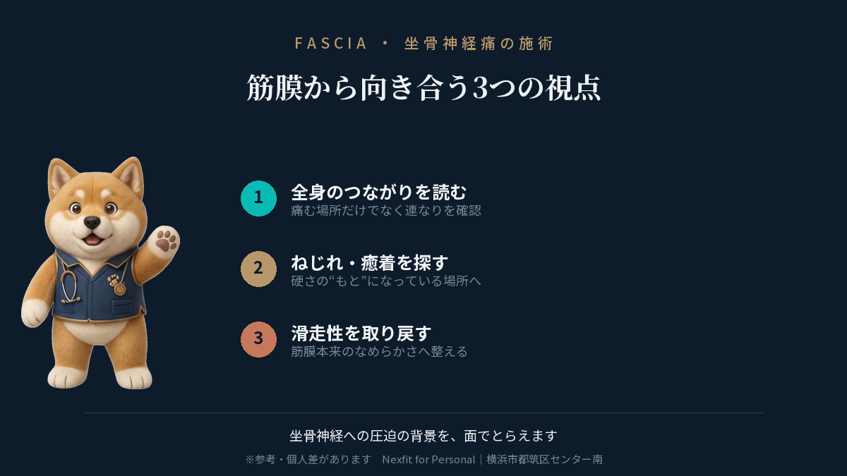 オールハンド筋膜リリースが坐骨神経痛に向き合う3つの視点:全身のつながりを読む・ねじれや癒着を探す・滑走性を取り戻す