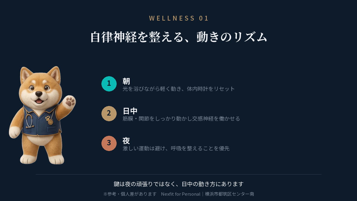 自律神経を整える3つの視点