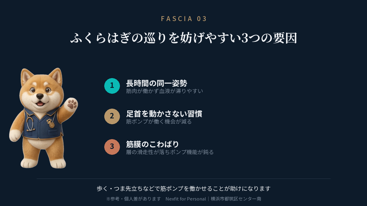 ふくらはぎの血流を妨げやすい3つの要因の図解