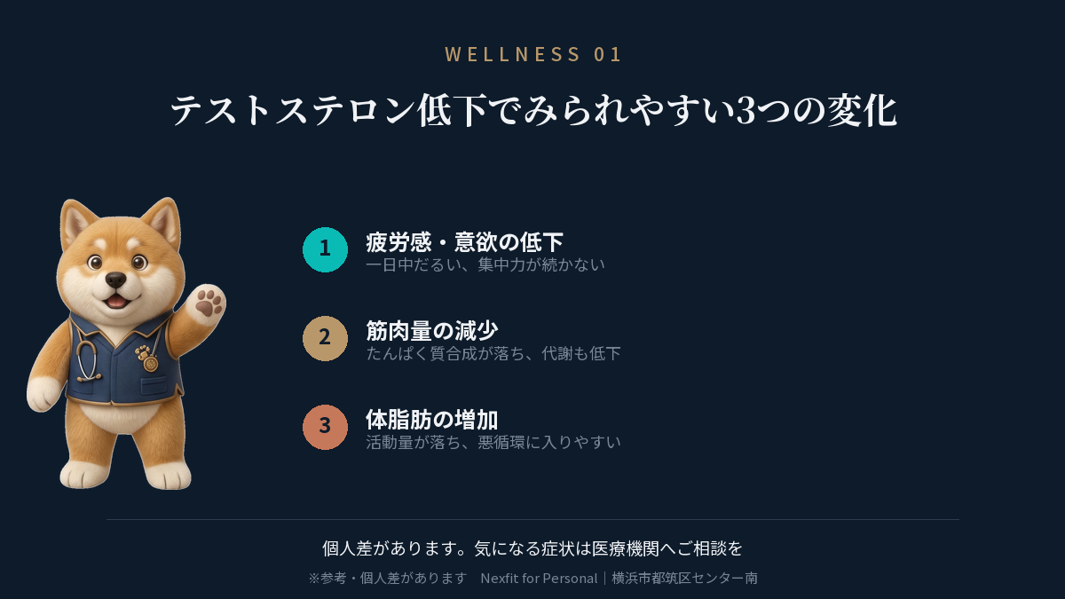 テストステロンの低下でみられやすい3つの変化の図解